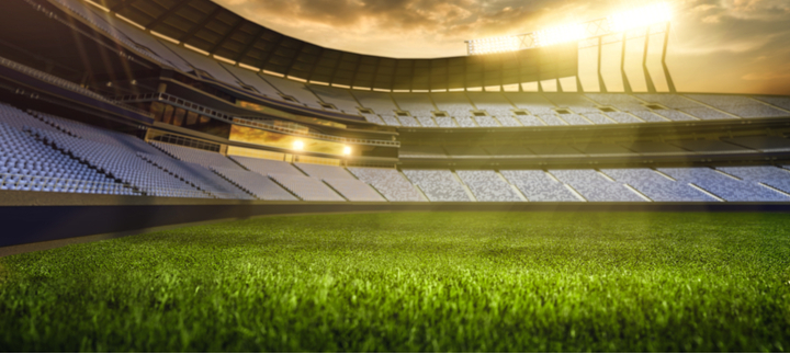 Cricket field and sunshine