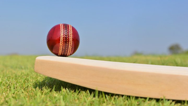 Cricket in focus